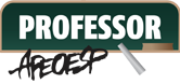 Professor