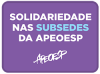 PAINEL SOLIDARIEDADE NAS SUBSEDES