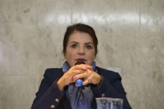 WebConferência - Não a Redução da Maioridade Penal