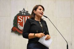 Audiência Pública e Seminário da APEOESP Contra PL da Morte (PL 920/2017)