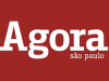 Professores  Estaduais  protestam na Paulista