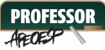Professor